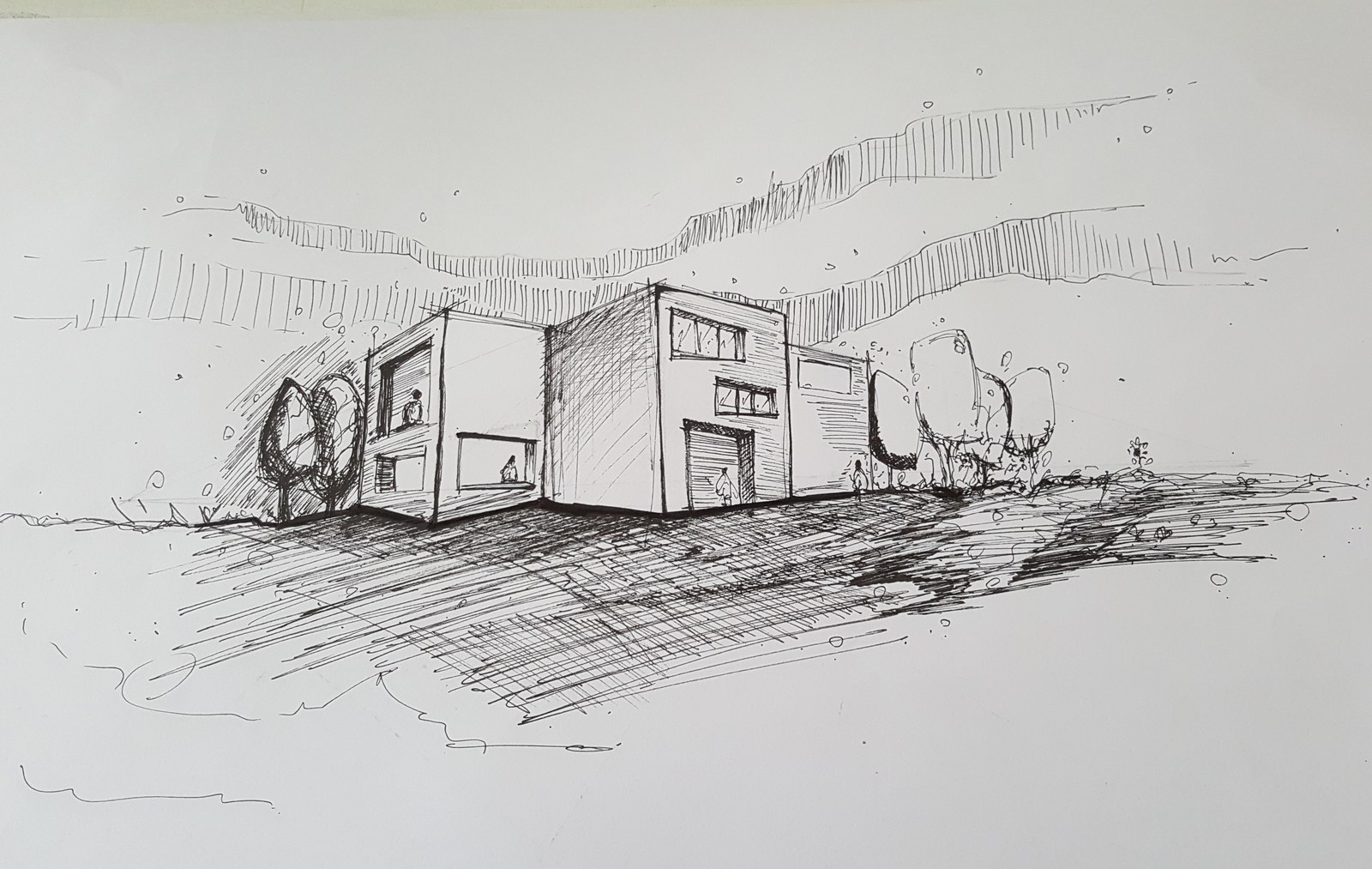 Pencil perspective of a modern house beneath a branching canopy