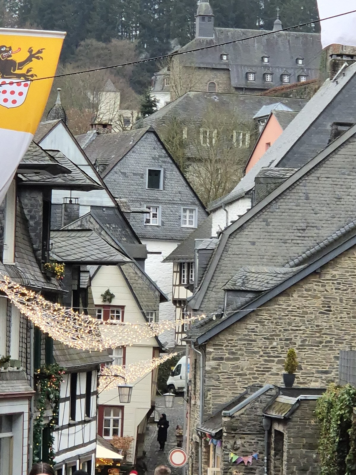 Roofs and narrow streets in a hillside town