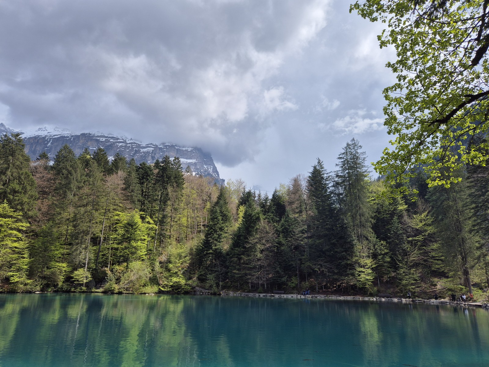 Calm lake reflecting a forested shore