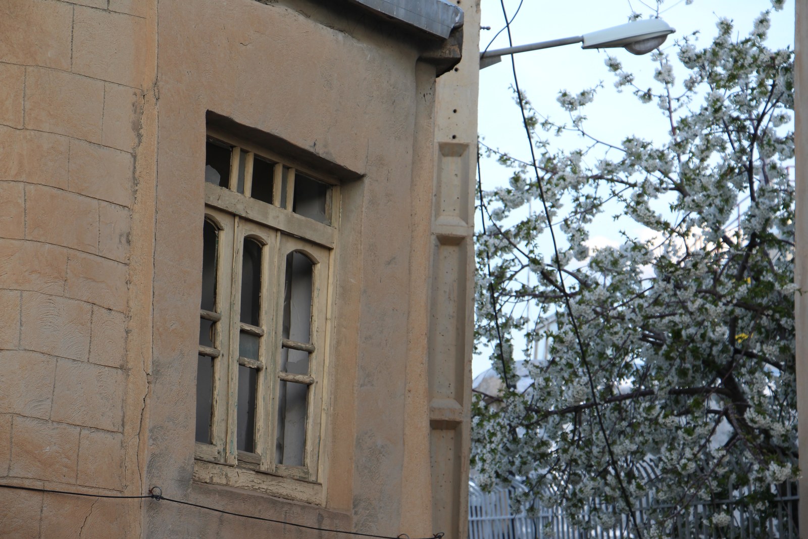Window in an earth-coloured wall framed by branches