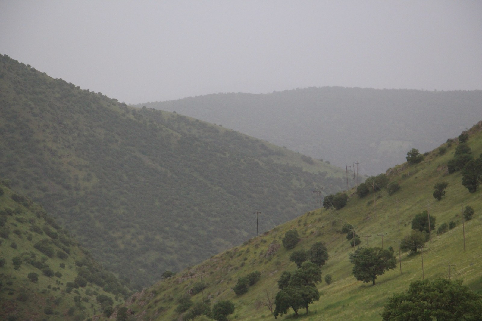Layers of green hills fading into a misty distance