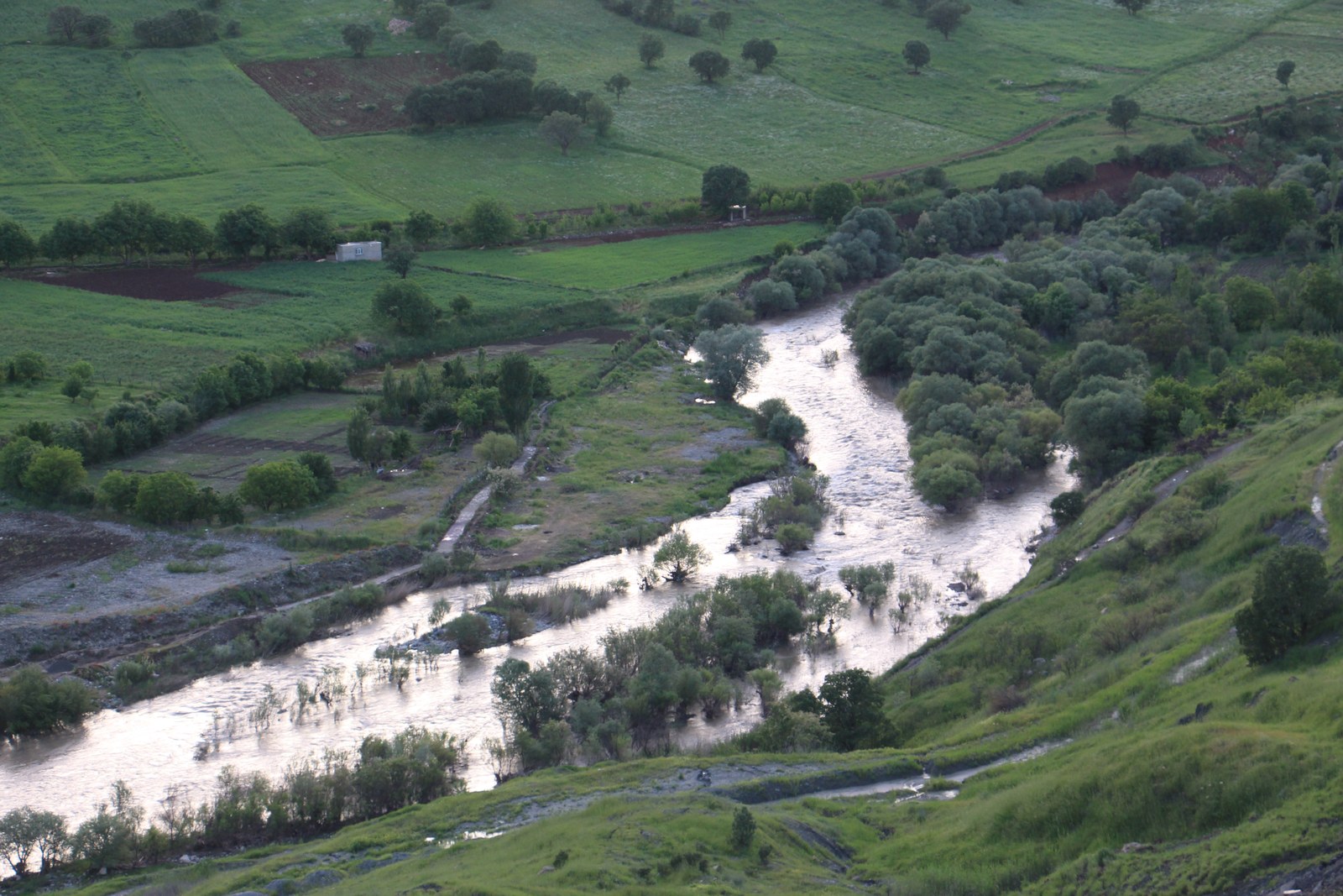 Whitewater flowing through a green valley